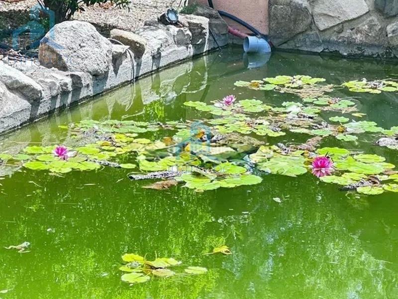 Foto 8adca0f2-0aa1-4ef7-bbcd-bb7827fe1e51. Casale con parcheggio in Mestral Reus