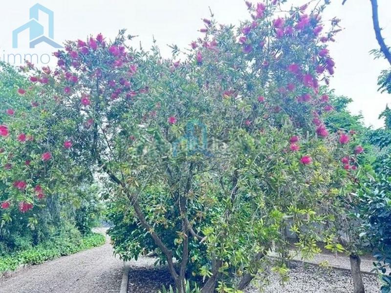 Foto d1cff641-d1a2-4283-9d84-3a7043fcf4ad. Casale con parcheggio in Mestral Reus