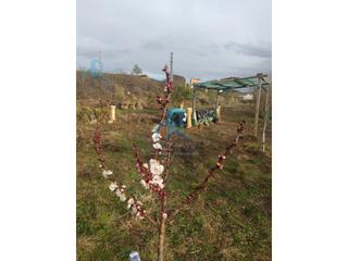 Propriété  Poligono 1 paraje 42 prats. Terreno rustico en cabra del camp