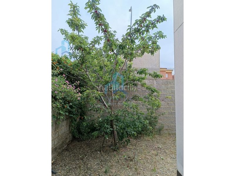 Foto 5f8b77d9-9ff6-4a0e-b4a4-be700701e844. Planta baixa amb aparcament a El Casalot Mont-roig del Camp