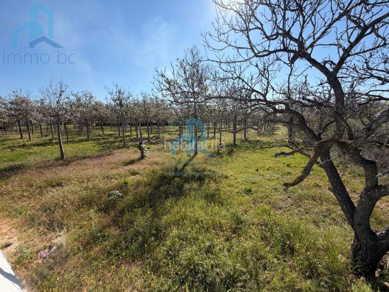 Foto 4f7481c2-0de9-4500-afdb-3b656c3f1ec4. Casa amb aparcament a Constantí