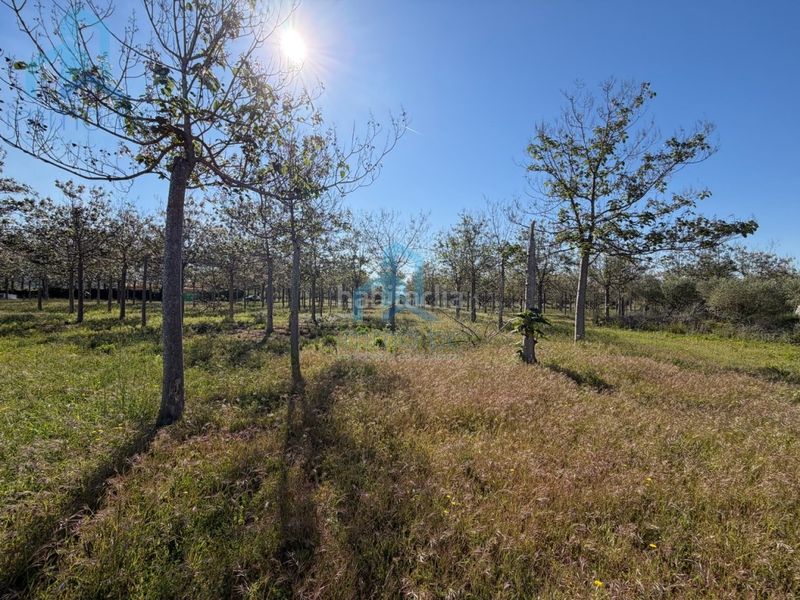 Foto 95d76378-2c98-4c53-bef0-66ac4e7ea6d0. Casa amb aparcament a Constantí