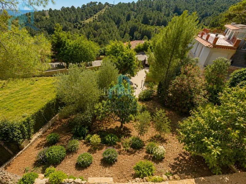 Foto 0e964aa2-93dd-4534-b848-89267c292035. Casa finca en Almoster