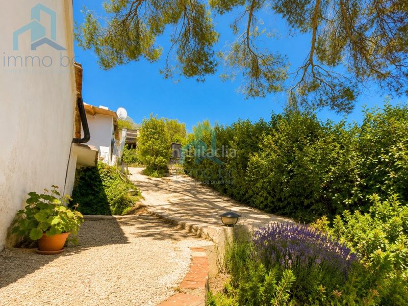 Foto a69b2a8f-768c-4c56-97ea-d6c4f3b77acf. Casa finca en Almoster