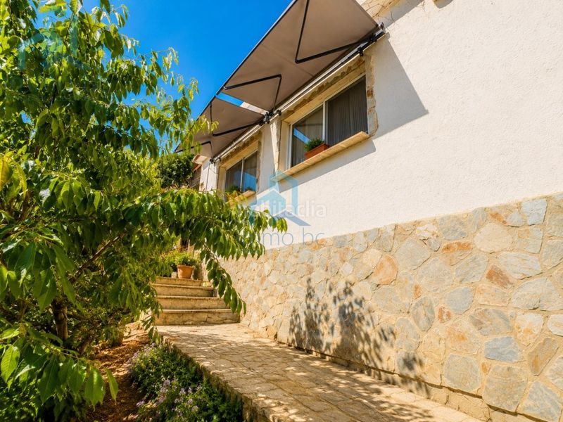 Foto bc3d0fb5-6b73-4a91-a62c-290b2f77e39d. Casa finca en Almoster