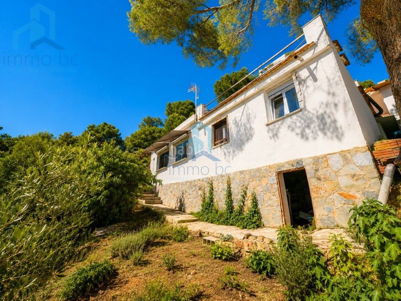 Foto ff52b288-2382-47ce-8b7b-916bd13aac24. Casa finca en Almoster