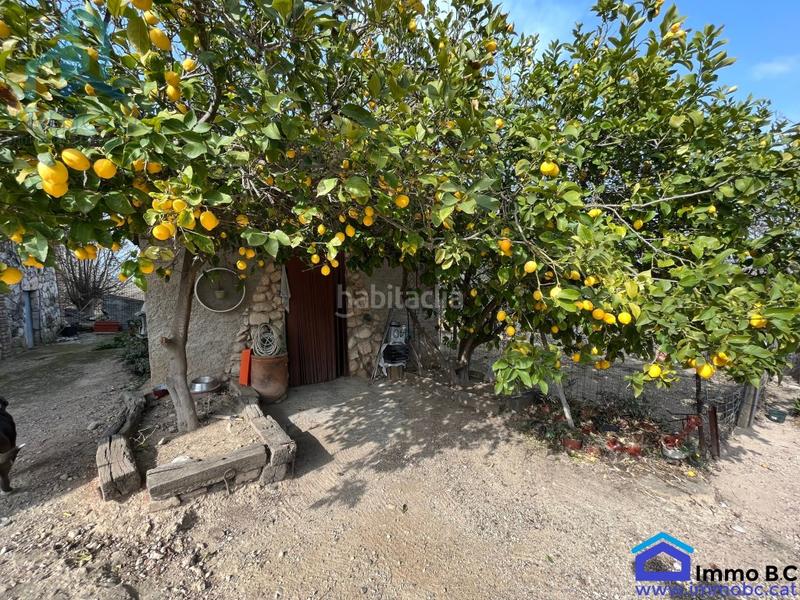 Foto b2108445-2cb4-4318-8840-cafbb5745f9d. Casa fantástica villa en Milà (El)