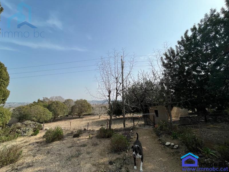 Foto e1e055c2-44ae-4132-8795-3f26f7784389. Casa fantástica villa en Milà (El)