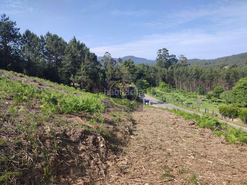 Foto cd34362a-f5c6-485a-b389-3d687c6e6a93. Finca rústica en Tui