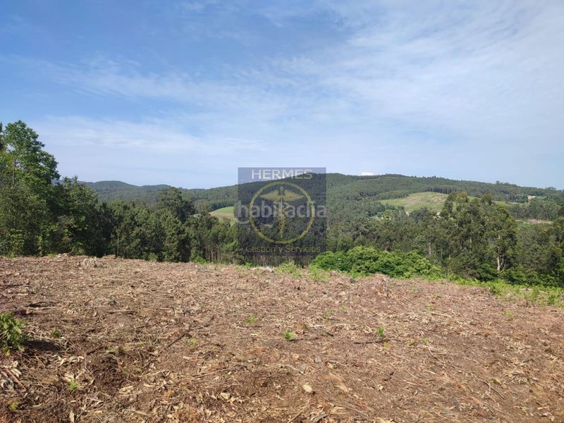 Foto f92624d9-a06b-4608-8355-938fa3f560ea. Finca rústica en Tui