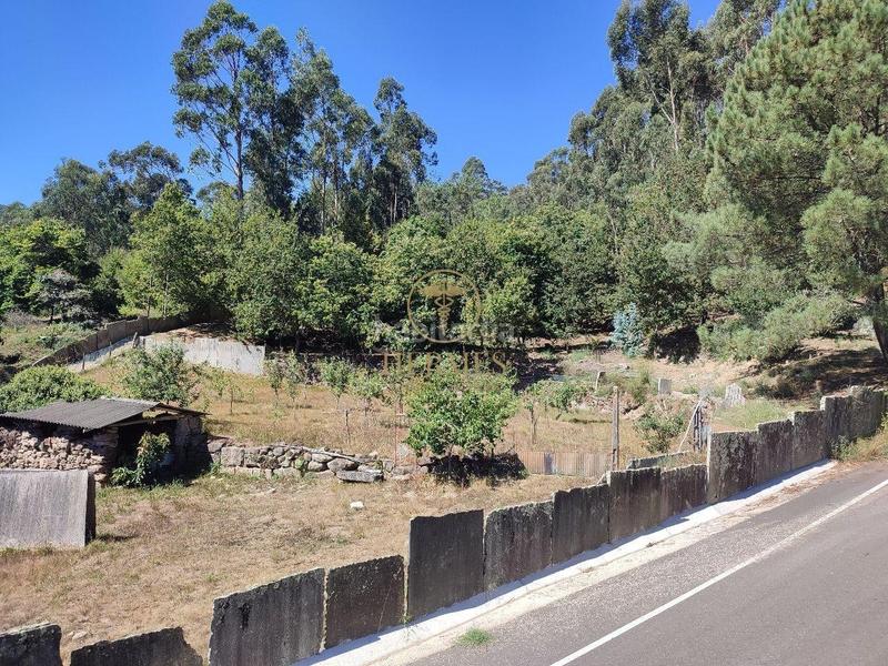 Foto 7e39d56f-120d-4903-bdf4-61fd7b949afc. Landgut in Tui