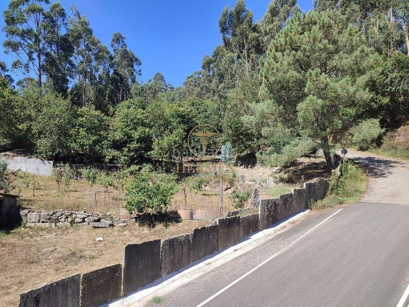 Foto b2c23d48-100c-4e51-a4ec-9cf3166f19d4. Landgut in Tui