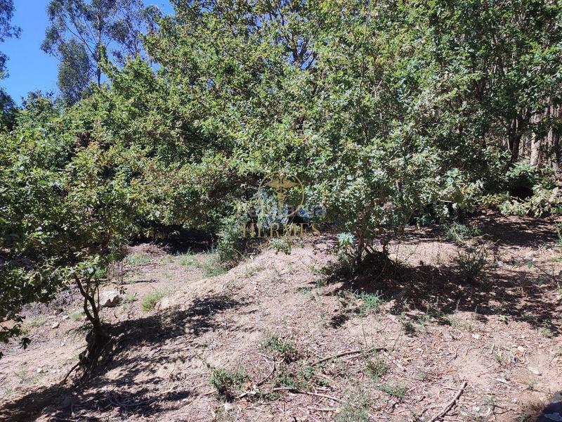 Foto d0ef5af9-b5c5-46a2-9ea0-a45961bc25d7. Landgut in Tui