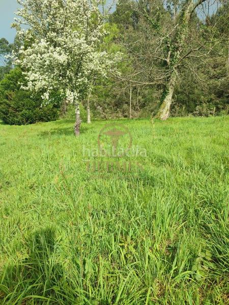 Foto 63da2c22-30a1-4a41-ac41-7046d91fc29e. Casa con parcheggio in Cotobade