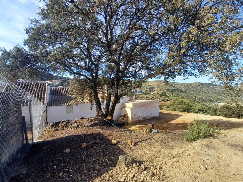 Foto d298842b-00a6-4db9-b363-a3265bc5372a. Bauernhof in Loja