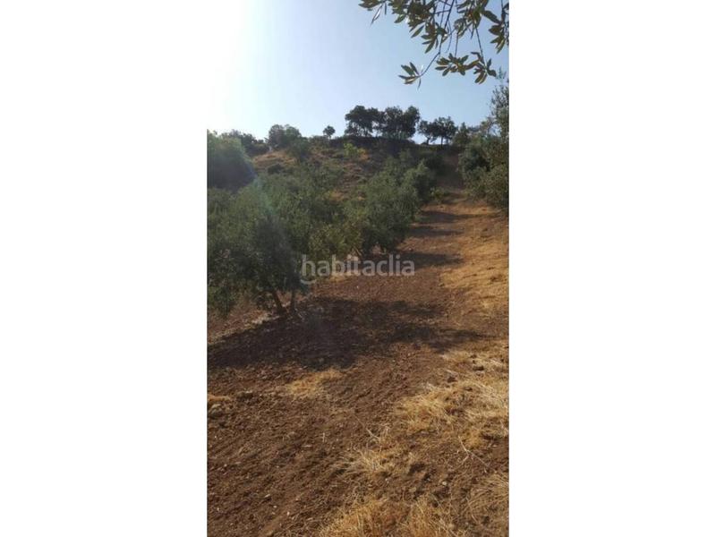 Foto 0a83f41f-0954-43f8-93f5-c493b28feecd. Masía finca rúst. en venta en ventorros de san josé. en Loja