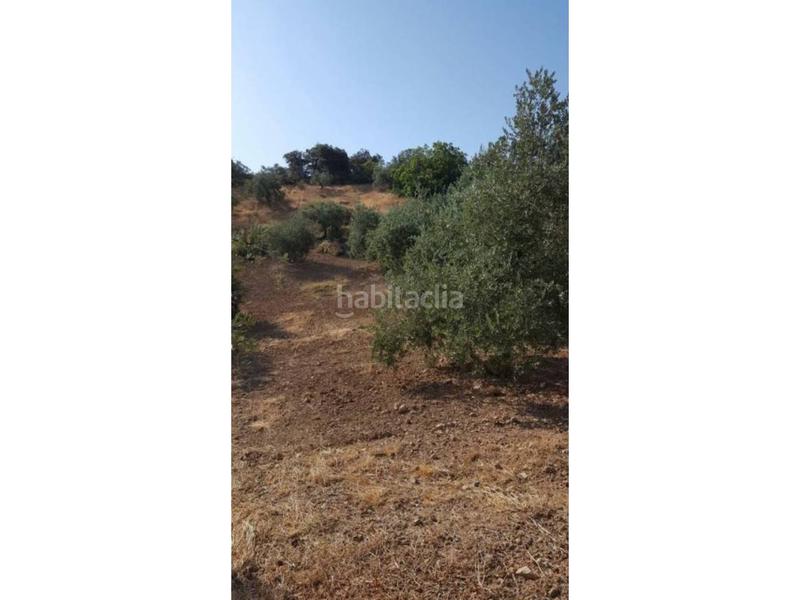 Foto 4f7ea568-41e5-4e59-be8a-c9d5c35b1cd2. Masía finca rúst. en venta en ventorros de san josé. en Loja