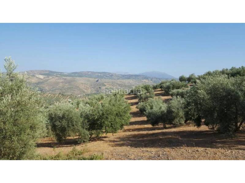 Foto 59ebe097-37be-4f9c-92d0-c46c3291a7c8. Masía finca rúst. en venta en ventorros de san josé. en Loja