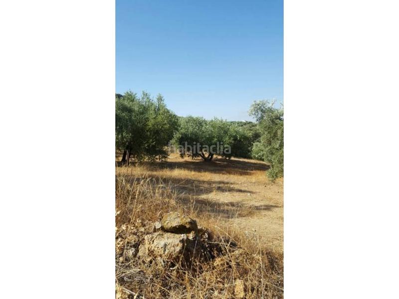 Foto 8b1cbb2f-57b1-49f7-9f3d-6ebbbc6081b0. Masía finca rúst. en venta en ventorros de san josé. en Loja