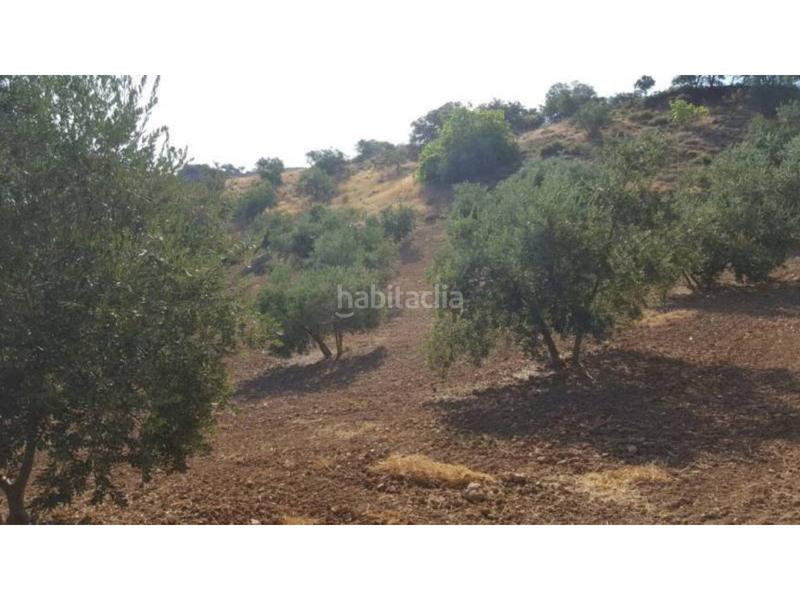 Foto 9ce3d952-8579-4f73-8f93-23e50f710714. Masía finca rúst. en venta en ventorros de san josé. en Loja