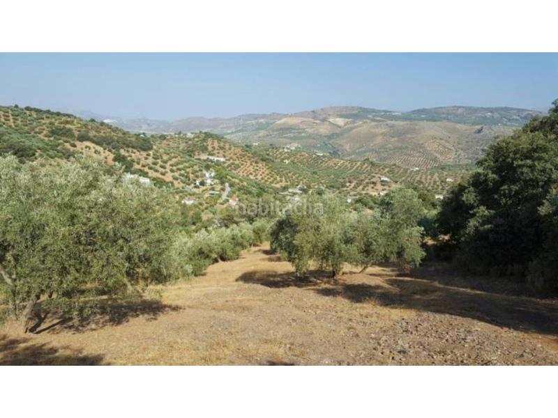 Foto af4f3f1a-6bfc-4adf-a2c8-8b796f6b7448. Masía finca rúst. en venta en ventorros de san josé. en Loja