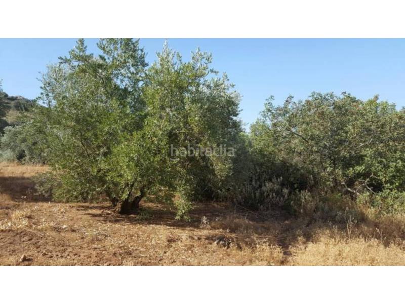 Foto bf9e5c08-f641-4553-914a-14f3651a9d39. Masía finca rúst. en venta en ventorros de san josé. en Loja