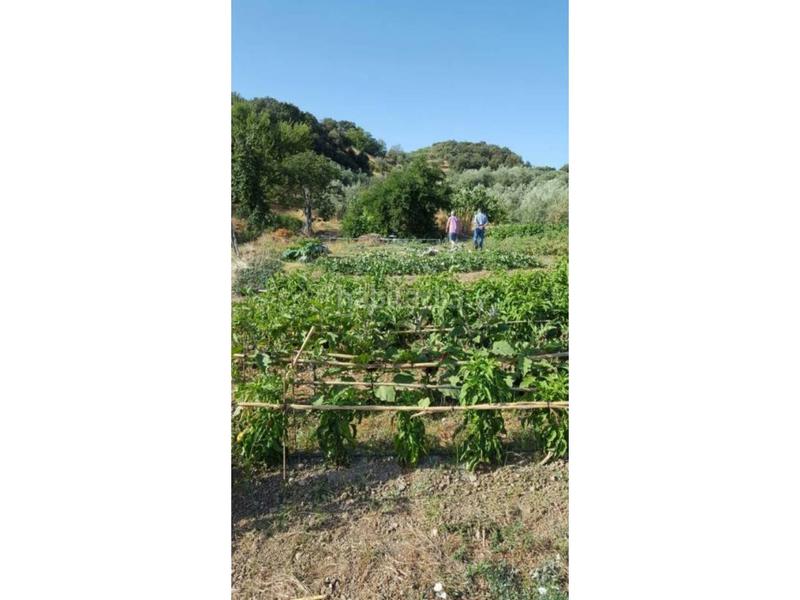 Foto ea4e11af-4eec-4a2e-bdf2-01635e2a3ae9. Masía finca rúst. en venta en ventorros de san josé. en Loja
