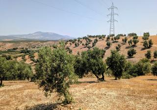 Bauernhof  5, parcela 93, las caras de cacín. Finca rúst. en venta en huertor tajar.