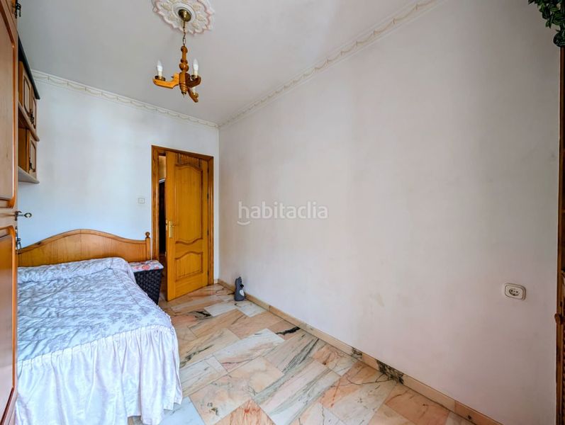 Foto af99a060-dfea-4f65-ad5f-29e9022504f3. Pis a Loja
