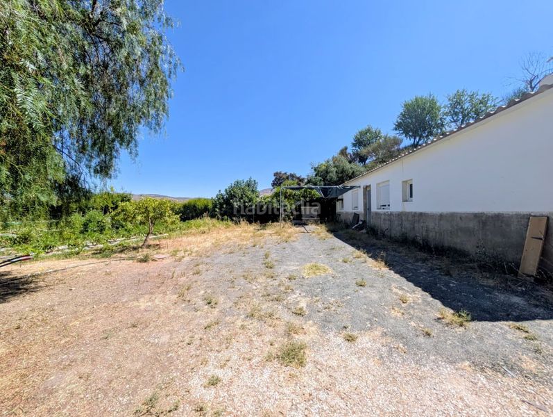 Foto d5581d19-d86a-453b-8373-f8af2735b98f. Masia a Loja