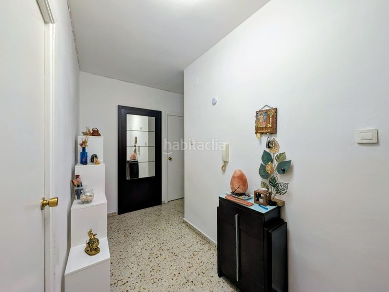 Foto e7d3eac1-8cbb-4bd7-a8e5-ef8f974d50d5. Pis a Loja