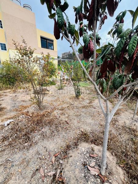 Foto bc1e7158-bc29-4cb2-9deb-bbdaf653282c. Casa a Cardones Arucas