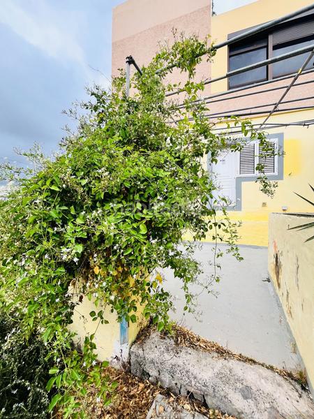 Foto d50097f1-70d6-4978-9957-8e320d2eff91. Casa a Cardones Arucas