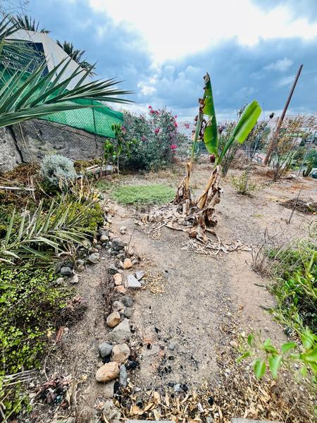 Foto fcba9b46-c8ce-4d29-a4db-ac17427a5fd6. Casa a Cardones Arucas