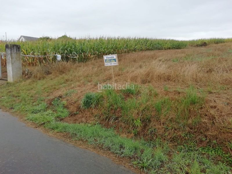 Foto c5274532-53bf-422d-a74a-7ee9f6b0a3b2. Terreny residencial a Carballo