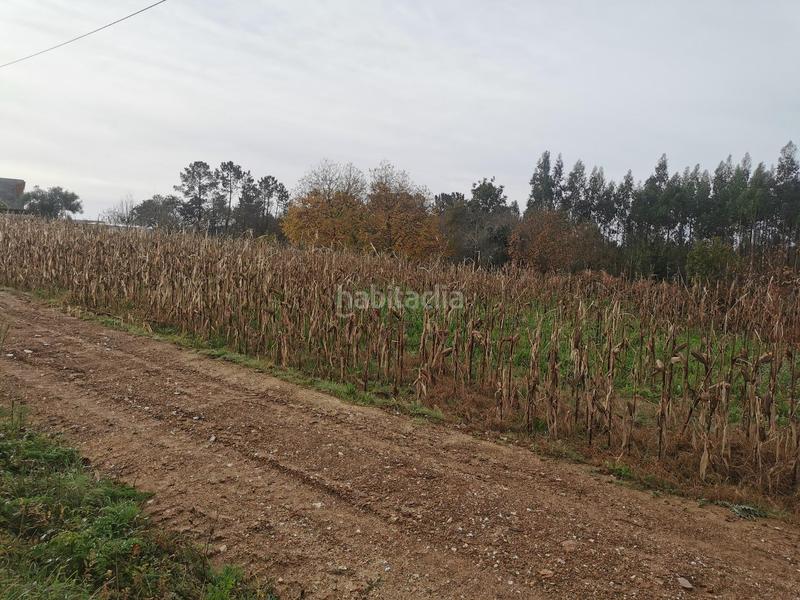 Foto 3fdabcfd-535b-455b-ad0d-f1fe00ccbbff. Terreny residencial a Bertamirans Ames