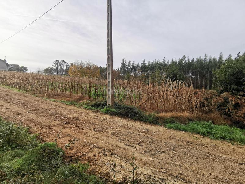 Foto 420f7caf-15fc-4208-a83c-f43633cc006f. Terreny residencial a Bertamirans Ames