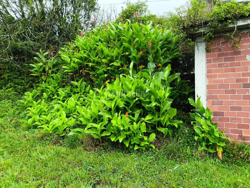 Foto 2a59b436-5e87-4f0a-89bf-7e5f4752f9e5. Casa in Carballo