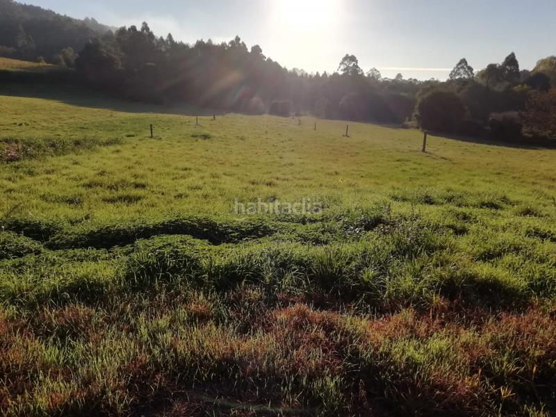 Foto 955b4ba9-effb-4774-8edd-922957026113. Terreny residencial a Laracha