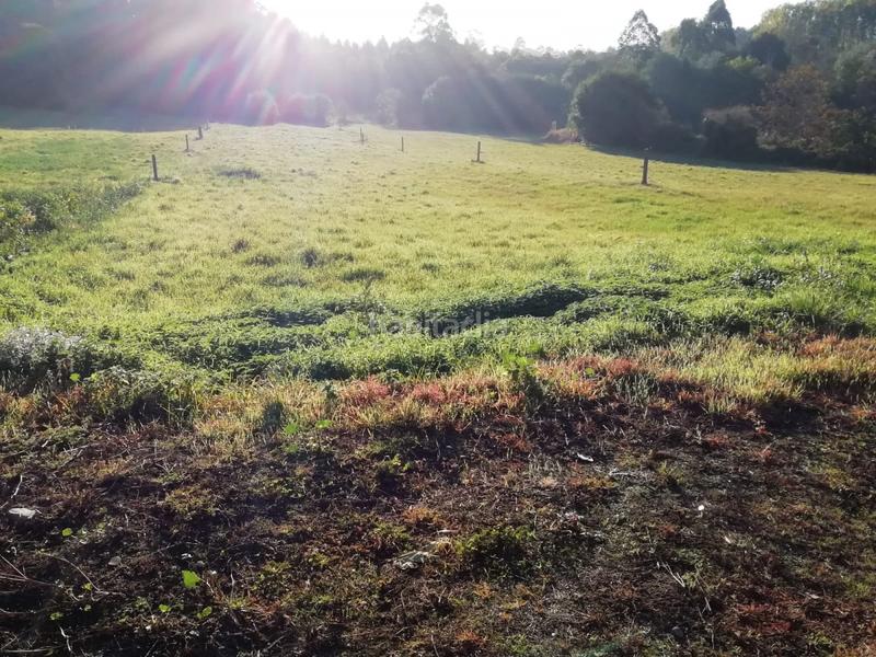 Foto d1693ae7-12ab-470a-80c3-79e34cadfe3b. Terreny residencial a Laracha