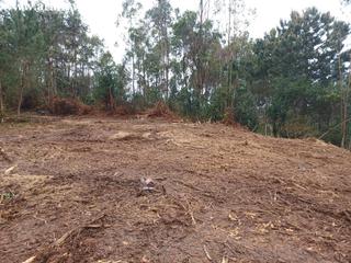 Terreny residencial  Lugar lagoa. Finca de 19000m2 con 1000 m2 urbanos
