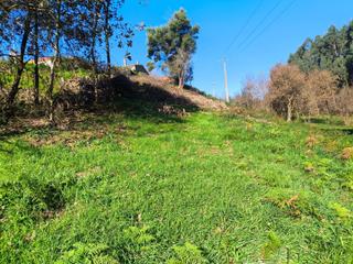 Finca rústica  Lugar outeiro. Terreno no urbano en outeiro, cela de cambre