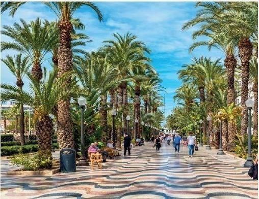 Foto 048563c6-2389-4db2-8010-c1f6d09bdb94. Àtic amb piscina a Bonalba-Cotoveta Mutxamel