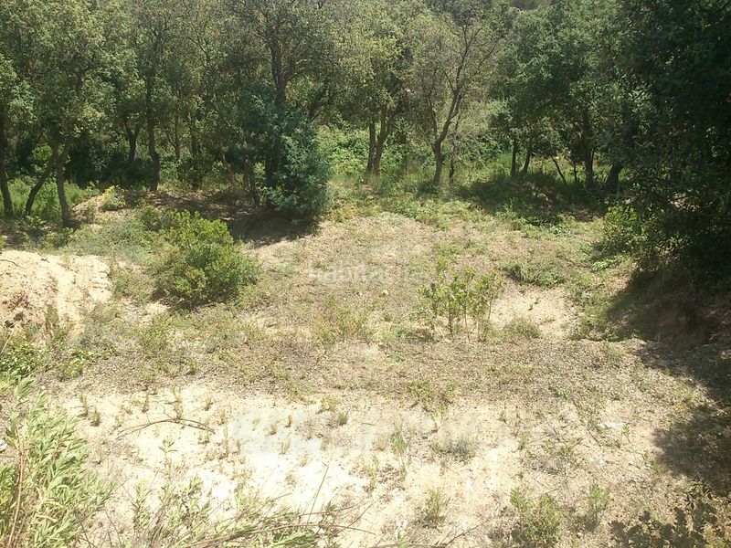 Foto 0780e9d9-8fce-42d6-a25a-a35271557bd1. Terreny residencial a Llagostera