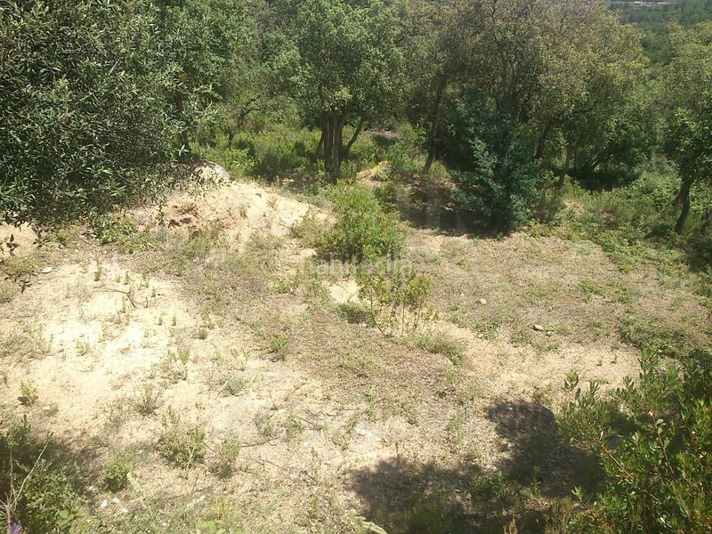Foto 32df782b-1a40-4fc6-8e89-3a479ad1f0db. Terreny residencial a Llagostera