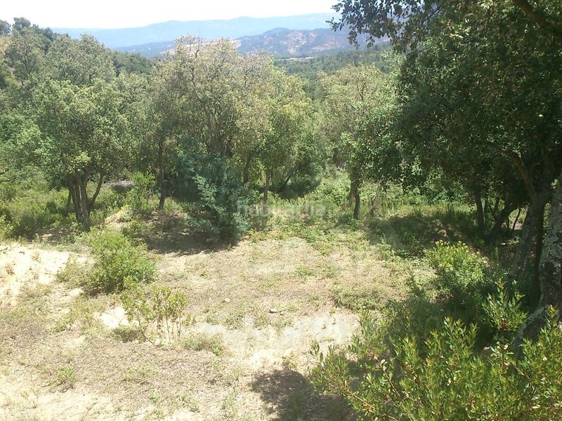 Foto d6bcc3f0-d42e-4ebd-8985-e394df1be1cd. Terreny residencial a Llagostera