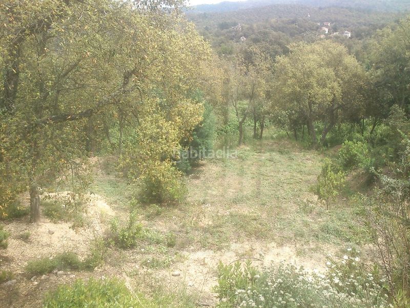 Foto ed35aea2-a678-48cd-8250-65fcb2b54b74. Terreny residencial a Llagostera
