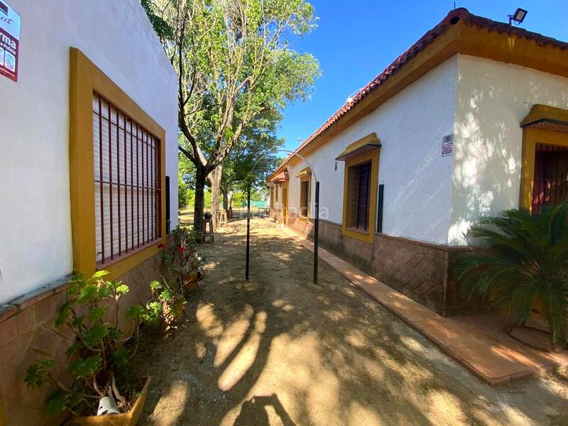 Foto 0b3f6edf-77e0-445d-b2db-f1ac538fa156. House with pool in Oromana Alcalá de Guadaira