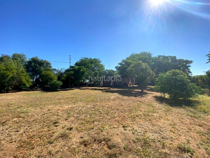 Foto 19f71781-1dbe-4930-babe-dd14ccfcbc22. House with pool in Oromana Alcalá de Guadaira