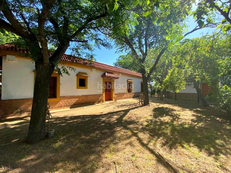 Foto 2061114f-2089-4014-9455-8f4e69ca4ed6. House with pool in Oromana Alcalá de Guadaira